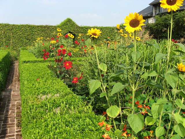 Jardin Plume Federgarten